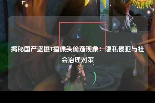 揭秘国产盗摄T摄像头偷窥现象：隐私侵犯与社会治理对策